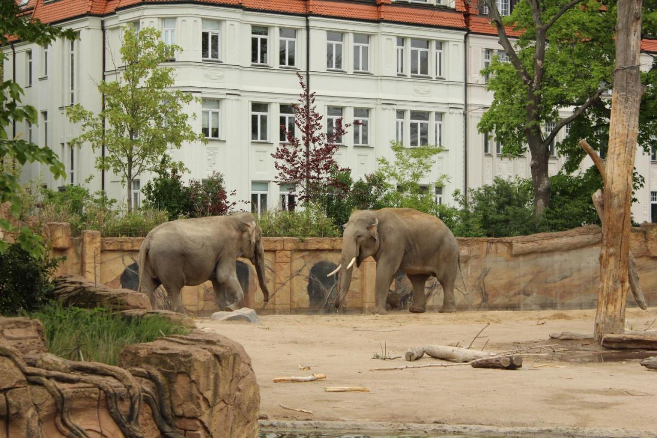 Große Wohnung im Neu-Seen-Land Leipzig Markkleeberg Exterior foto